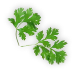 Les Delices Dadeline Traiteur A Domicile Le Gault Du Perche Element 0