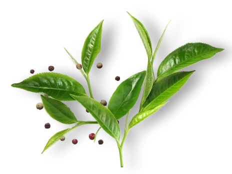 Les Delices Dadeline Traiteur A Domicile Le Gault Du Perche Element02